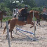 фотография de Portes ouvertes à la Ferme Equestre de Neiscaouen