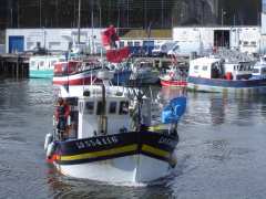 Foto La marée du jour, le port de pêche de Keroman