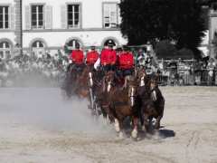 foto di Visite guidée du Haras national de Lamballe