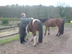 photo de RANDO CHEVAL ET CALECHE