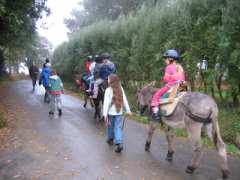 photo de Mercredi découverte de l'âne et de la ferme