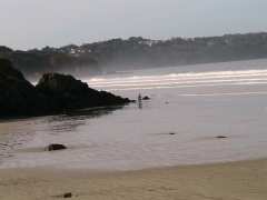 foto di Marche Découverte commentée - de la Plage de Kervel (Plonevez Porzay) à la plage du Ris (Douarnenez)