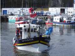 Foto Destination portuaire: La marée du jour, port de pêche de Keroman