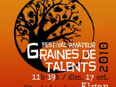 photo de Festival GRAINES DE TALENTS