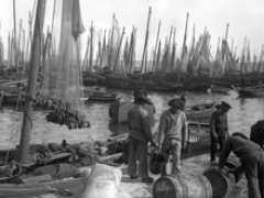 Foto Douarnenez à l'aube de la Grande Guerre