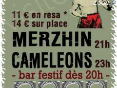 photo de Merzhin + Les Caméléons