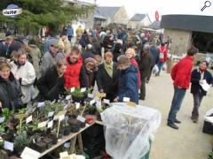 Foto Marché régional aux plantes