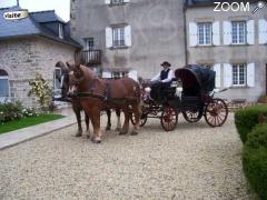 фотография de VIDE GRENIER ET CONCOURS ATTELAGES AU MANOIR DE TROUZILIT