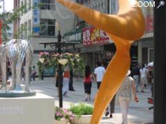 picture of Sculpteur Breton Médaille d' or au Concours de sculpture des JO de PEKIN 2008