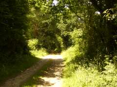 foto di gites nature  en bretagne