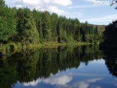 Foto Office de tourisme du pays de Montfort en Brocéliande