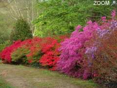 picture of Parc botanique de cornouaille