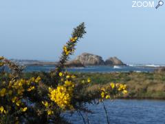 фотография de Office de Tourisme du Trégor - Côte d'Ajoncs