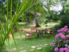 Foto Le jardin exotique de Cosy Home