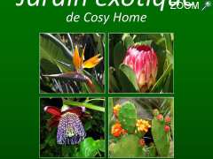 picture of Jardin Exotique de Cosy Home