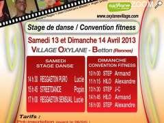 фотография de Samedi 13 Avril 2013 : Stage de danse avec Lucie Valadier et Popin Smiley à Betton-Rennes organisé par Génération-Fitness.