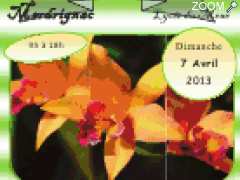 foto di Fête des plantes