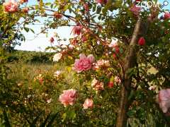 foto di Jardins de Kerusten